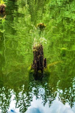Nehrin güzel manzarası