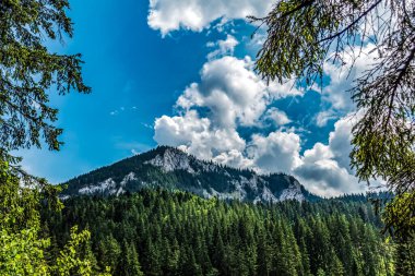 Nehir ve dağ olan güzel bir manzara.