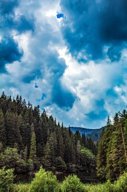 Nehir ve gölü olan güzel bir manzara.