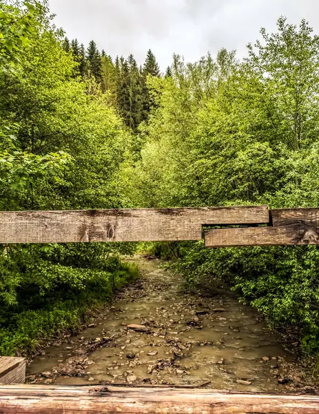 Nehrin üzerindeki tahta köprünün dikey görüntüsü.