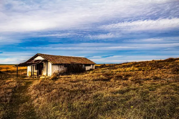 Bir tarlada çimenli bir alanda ahşap bir evin dikey görüntüsü.
