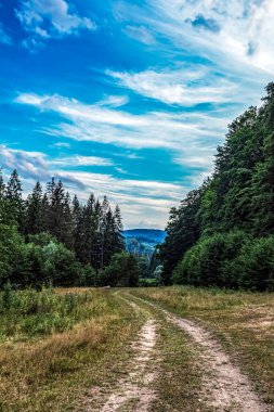 Ormanın ortasında, mavi gökyüzünün altında güzel bir yol görüntüsü.