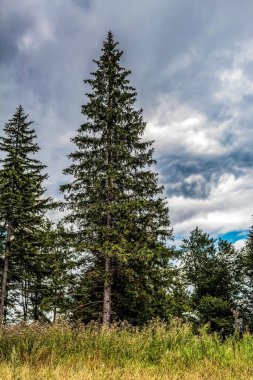 Bulutları ve mavi gökyüzü olan güzel bir manzara.