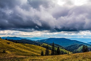 Karpatlar 'da yaz mevsimi. Karpatların Karpatlar 'daki güzel manzarası..