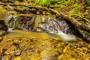 Ormandaki nehrin arka planında güzel bir şelale
