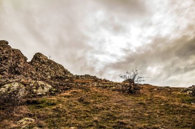 Karpat Dağlarının güzel sonbahar manzarası