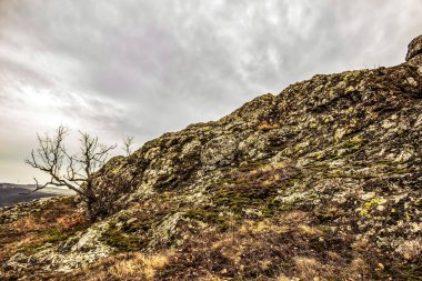 Renkli ağaçlarla dolu güzel sonbahar manzarası