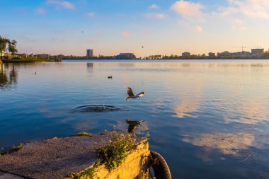 Nehrin üzerinde uçan büyük bir kuş.