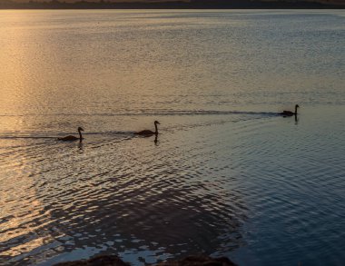 Akşamları güzel bir göl manzarası.