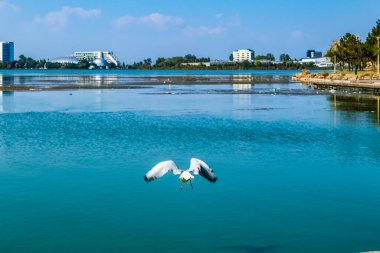 Barselona şehrinin manzarası