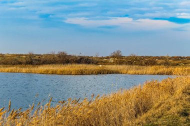 güneşli bir günde bir göl manzara