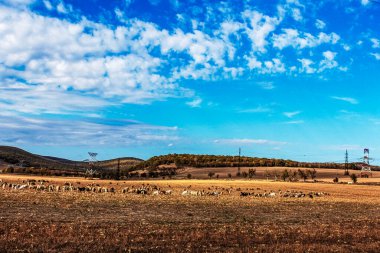 Tarlanın üzerinde güzel bir gün batımı