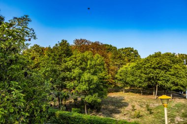 Parkın güzel manzarası