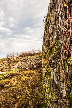 Kuru bir ağaçla eski duvarın güzel bir resmi.