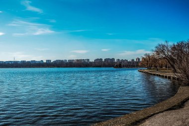 Güneşli bir günde parkta göl manzarası