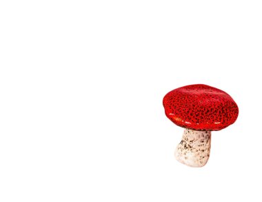 Ormanın arka planında kırmızı mantar.