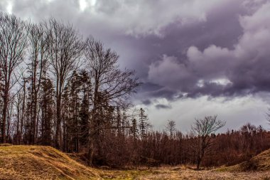 Büyük bir sonbahar ormanında kara fırtına bulutları