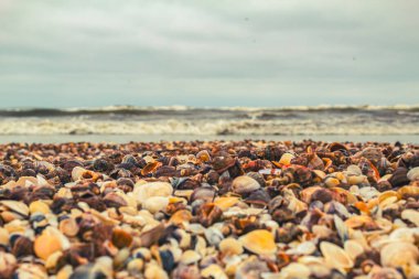 Sahilde deniz taşları