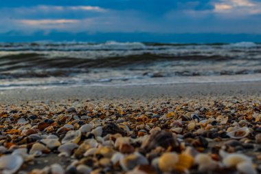 Deniz kıyısında güzel bir gün batımı. doğa arkaplanı