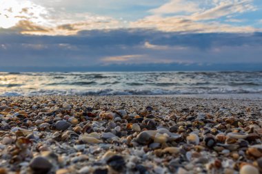 Baltık deniz kıyısında güzel bir gün batımı