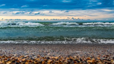 Sahildeki deniz dalgaları