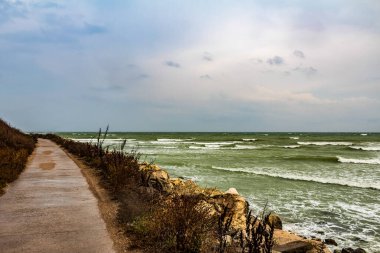 Güzel deniz manzarası ve okyanus.