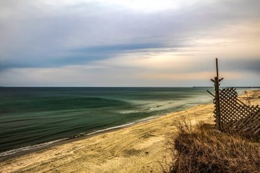 Baltık Denizi kıyılarında görünümünü