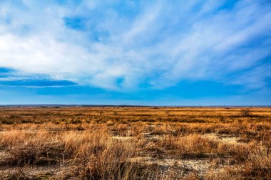 Büyük kuru otları ve mavi gökyüzü olan güzel bir tarla manzarası.