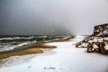 Kar ve ağaçlarla kaplı kış manzarası Baltık Denizi ve Polonya 'da soğuk bir günde.