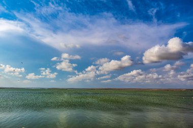 Güzel gün batımı manzarası