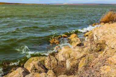 Sonbahar ormanındaki göl