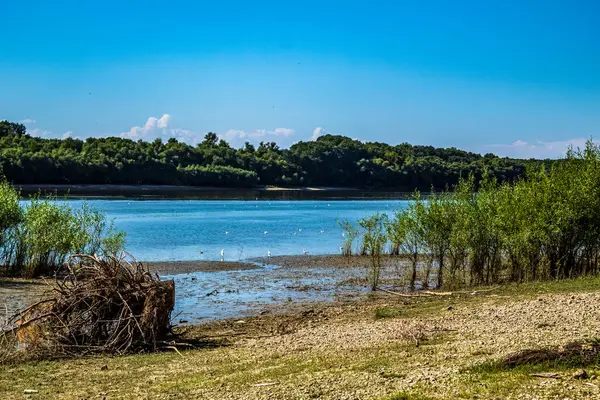 Ormandaki güzel göl