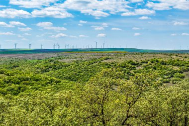 Bahar yeşil alanlar.