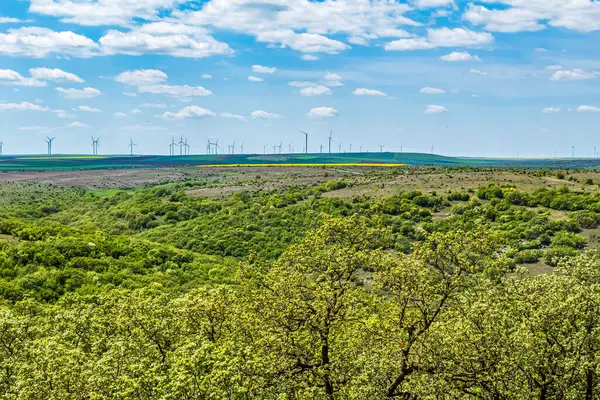 Bahar yeşil alanlar.