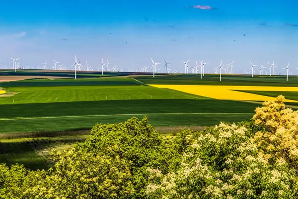 Tarladaki rüzgar türbinlerinin hava görüntüsü