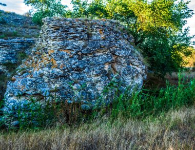 Ormandaki eski taş duvar