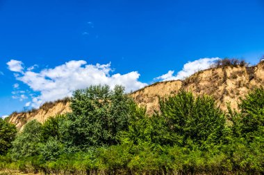Güzel bir manzara Ağacı ve mavi gökyüzü