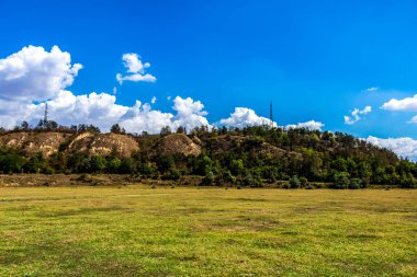 Ormandaki güzel bir tarla manzarası