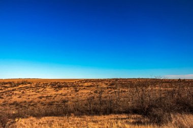 Güzel sonbahar manzarası. Doğa, seyahat