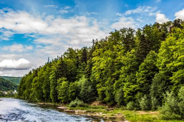 Karpatlar 'daki güzel dağ nehri