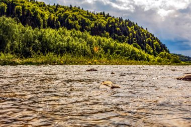 Güzel dağ nehri. Doğa, seyahat