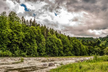 Şelalesi olan güzel bir manzara