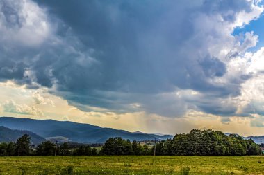 Orman, Karpatlar, Doğa Fotoğrafları - Avrupa, Doğu Avrupa, Romanya