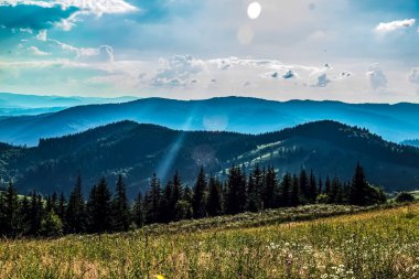 Karpatlar 'da dağlarla ve ormanlarla dolu yaz manzarası.