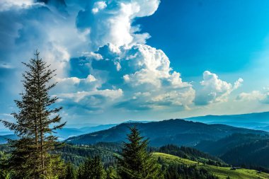 Karpat Dağları 'ndaki güzel dağ manzarası. Ukrayna