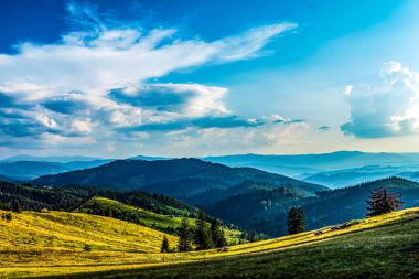 Karpatya ormanlarındaki dağ manzarası