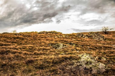 Sarı çimenler ve bulutlarla dolu sonbahar manzarası