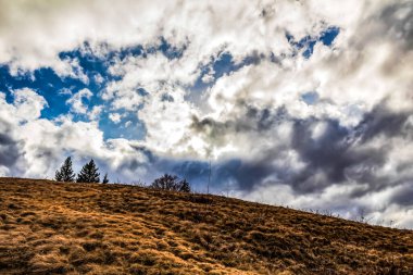 Ağaçlar ve bulutlarla dolu sonbahar manzarası