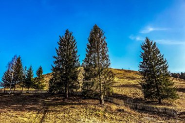 Ağaçlar ve dağlarla dolu güzel sonbahar manzarası