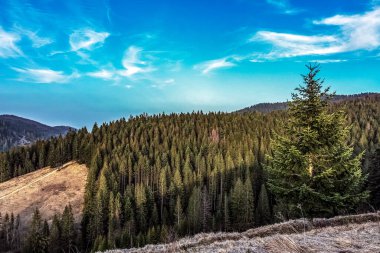 Karpat Dağlarının güzel manzarası